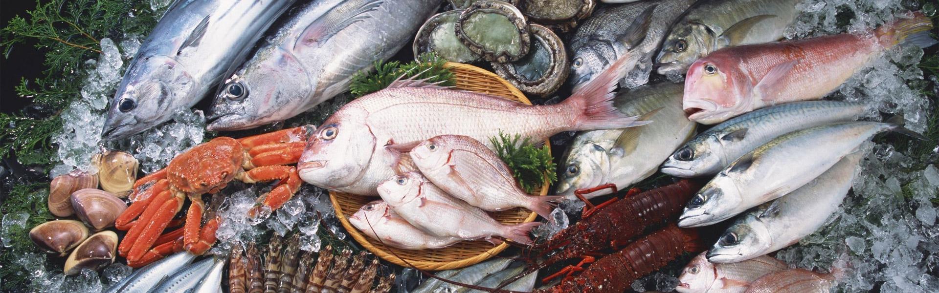 Купить свежую рыбу с доставкой. Рыбная продукция. Рыбные продукты. Свежая рыба. Свежая рыба и морепродукты.