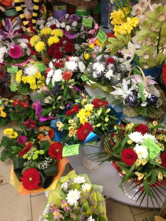 Все пучком череповец. Магазин всё пучком череповец. Всё пучком череповец цветочный. Все пучком цветы череповец. Все пучком шексна часы работы.