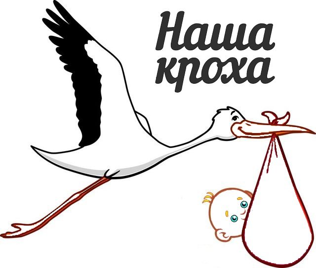 антошка магазин санкт-петербург. кроха магазин детских товаров. наша кроха санкт петербург. кроха детский магазин. магазин наша кроха.