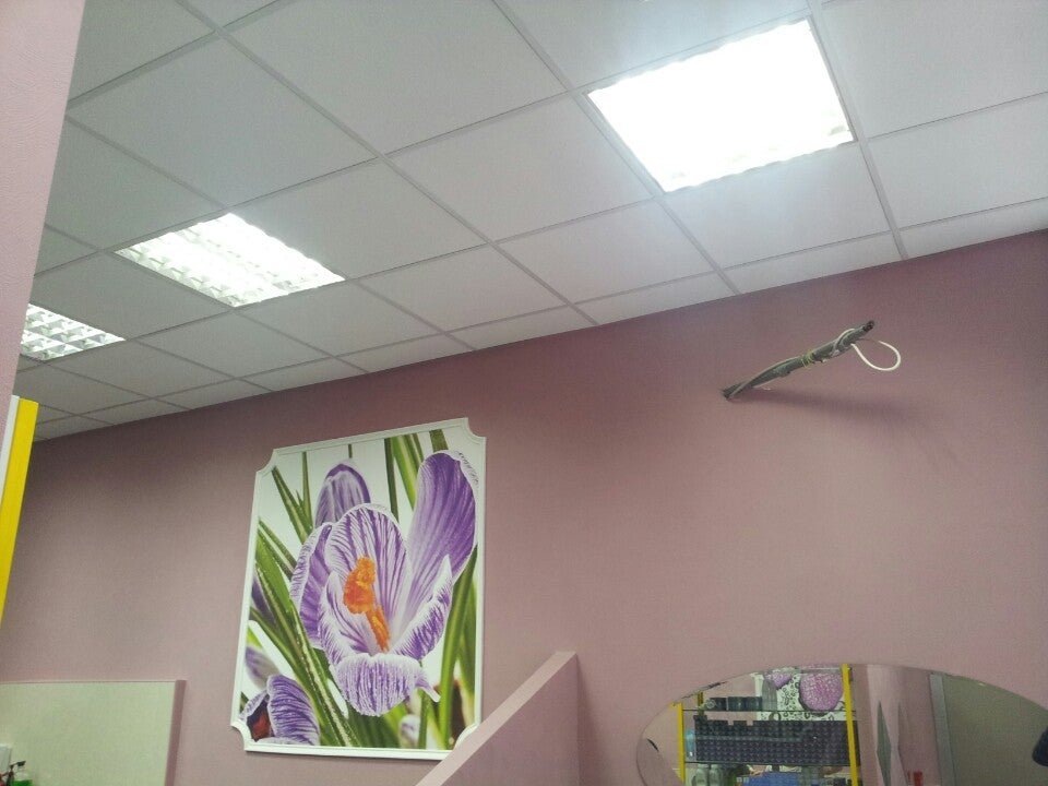 Эконом-парикмахерская на Шипиловской улице - отзывы о салоне красоты ...