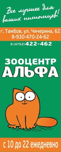 Ветклиника тамбов. Альфа ветклиника Тамбов. Ветаптека Бобров телефон. Тамбов ветклиника Альфа с какого года.