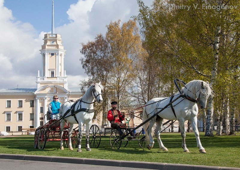 Тройка в королеве