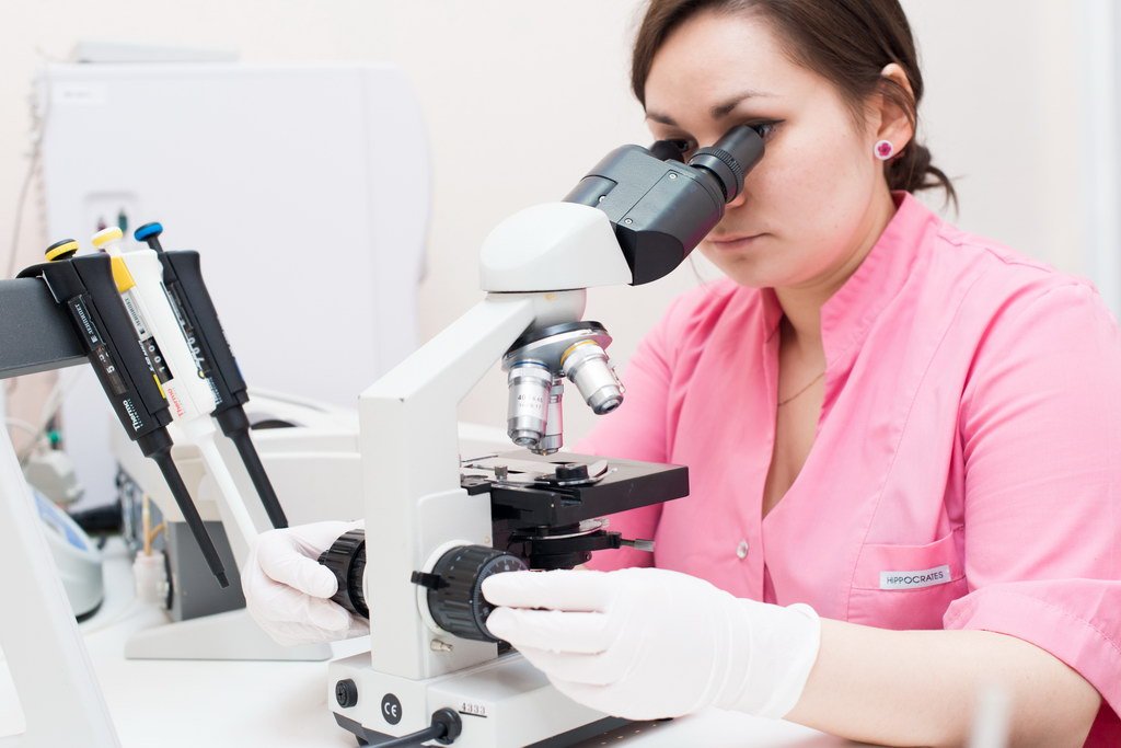 Городская ветеринарная клиника на Пулковской улице в Санкт-Петербурге ...