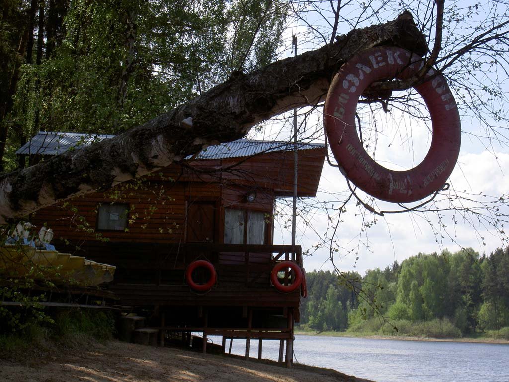 База отдыха электрон в дубне. Остров электрон Дубна. База отдыха электрон Истринское водохранилище. База отдыха электрон Дубна. Турбаза электрон Самара.