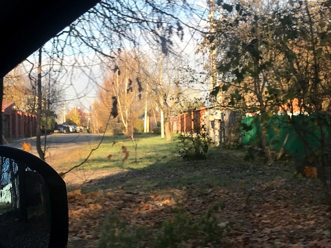 старый дворик отзывы