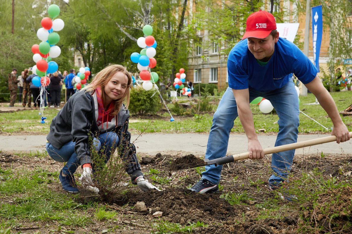 посадка деревьев в коробах