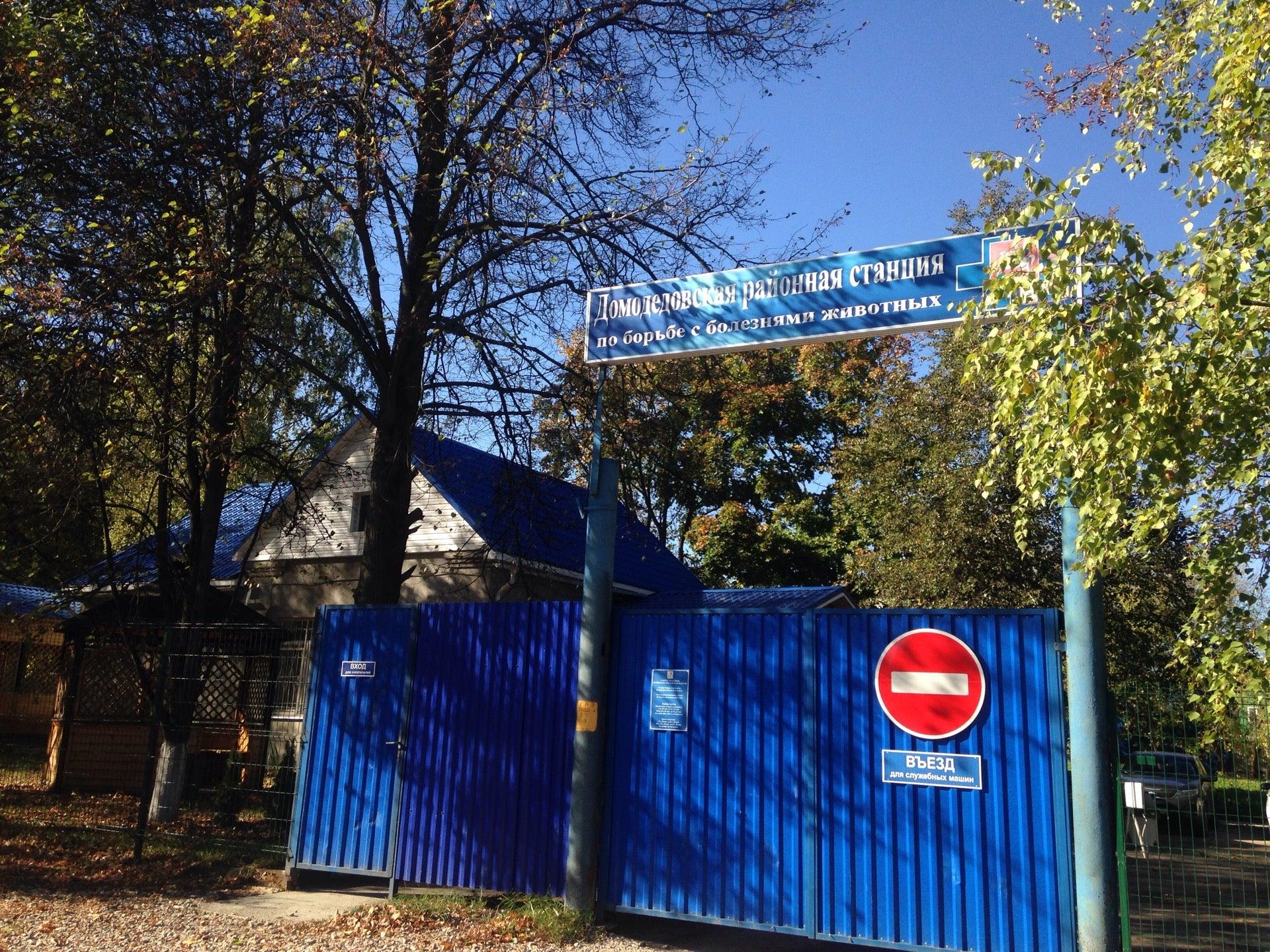 ветстанция домодедово. ветеринарная клиника домодедово корнеева. государственная ветклиника домодедово. дженк домодедово. государственная ветклиника домодедово.