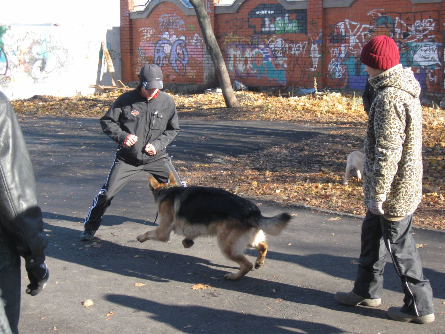 Ветеринарные клиники в Первомайском районе рядом со мной на карте –  рейтинг, цены, фото, телефоны, адреса, отзывы – Пенза – Zoon.ru