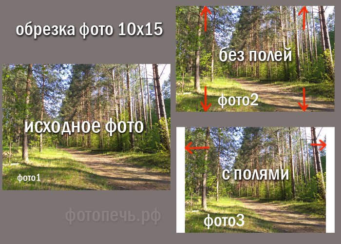 Фото с полями и без полей пример