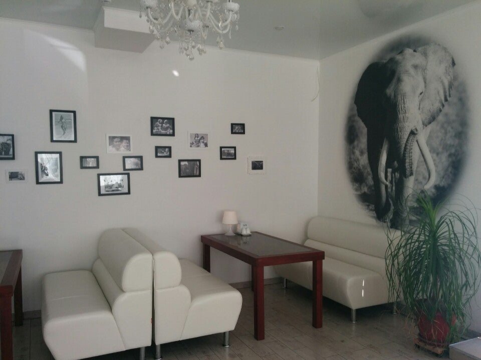 белый слон пушкино