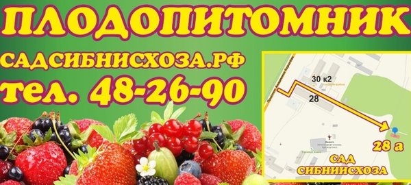 Ишим плодопитомник карта