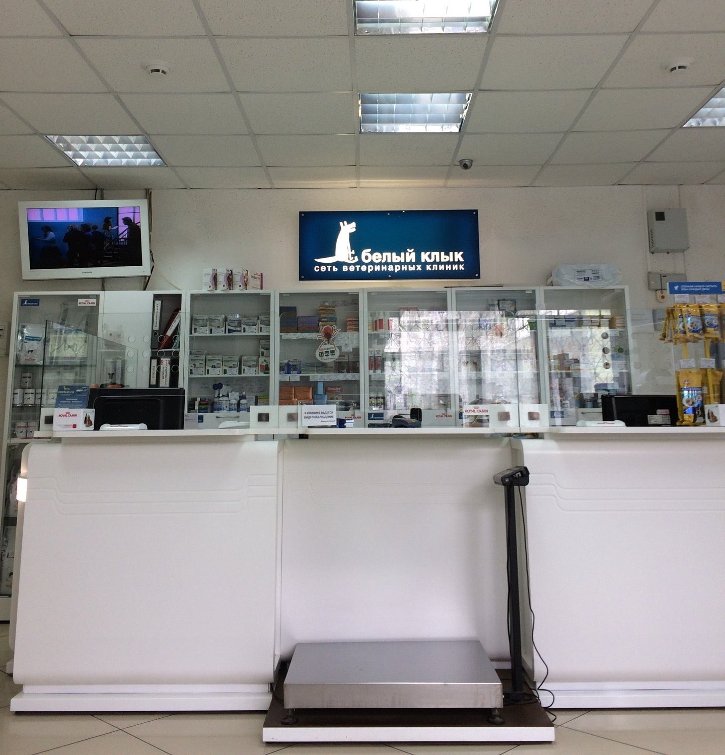 Прайс-лист Ветеринарной клиники Белый клык в Митино - Ветеринарные ...