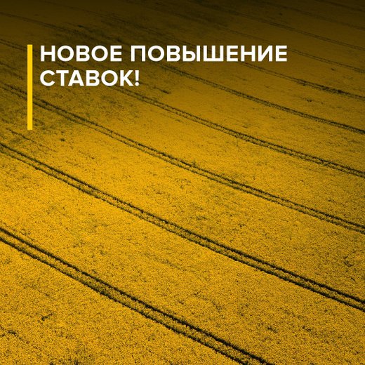 Займы и кредиты в Россельхозбанке в году