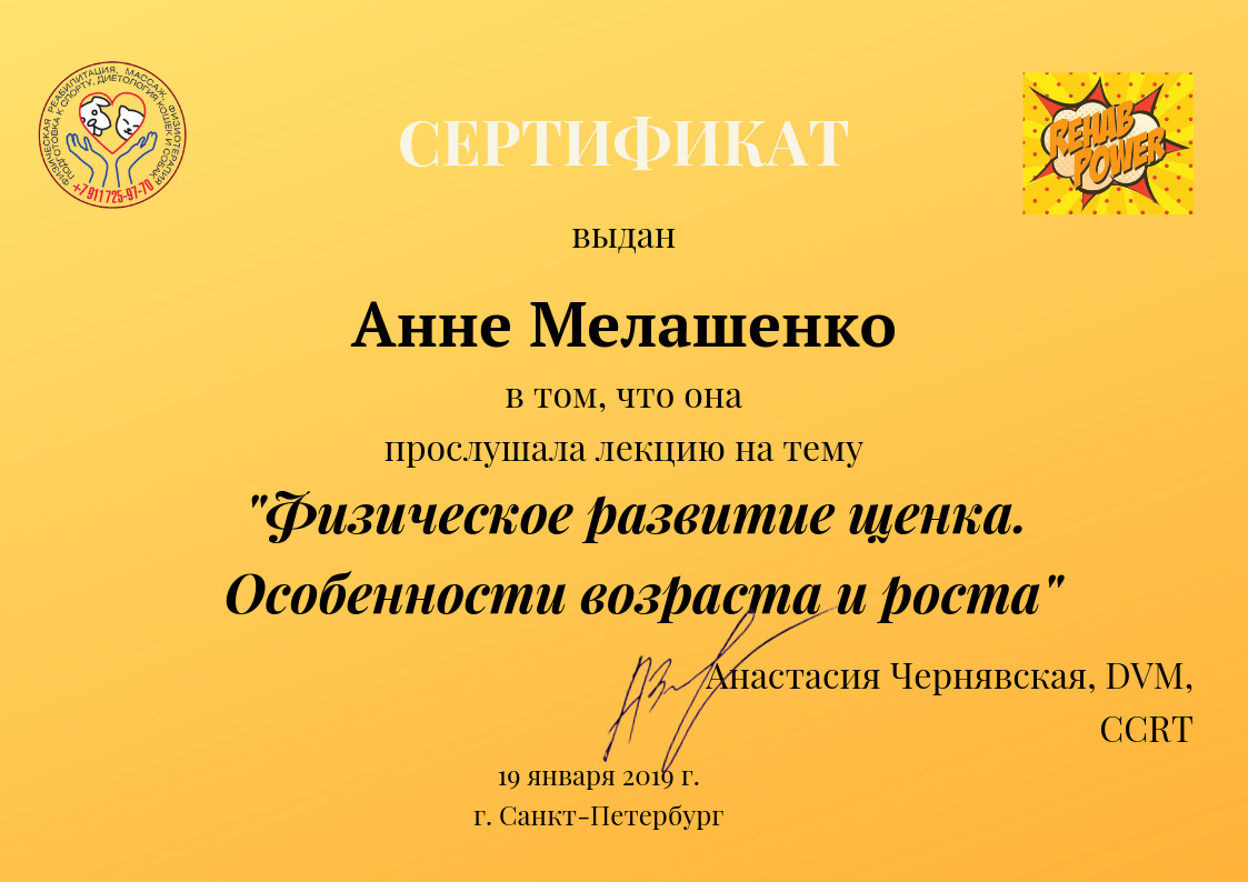 Мелашенко Анна – выгульщик собак, грумер – Санкт-Петербург – Zoon.ru