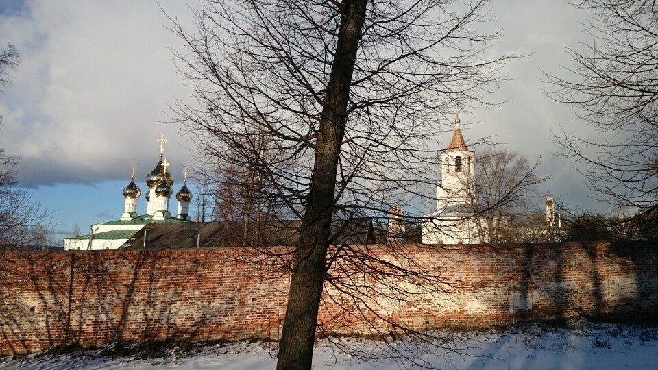 Курортный поселок солотча. Край леса солотча. Курортный поселок солотча рязанская область. Солотча санаторий рязанская область фото. Сосновый бор солотча.