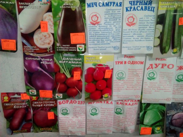 Тренд бай. Типография три р чебоксары. Три р чебоксары рекламное агентство. Фирма три р. Рекламное агенство европа.