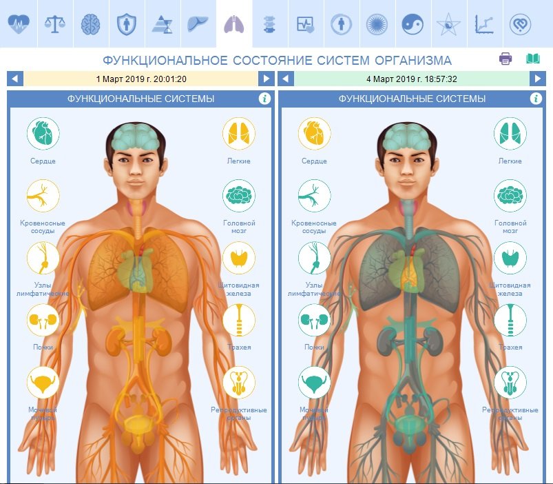 Функциональные системы органов человека. Функциональное состояние организма. Функциональное состояние органов и систем. Состояния организма человека. Общее состояние организма.