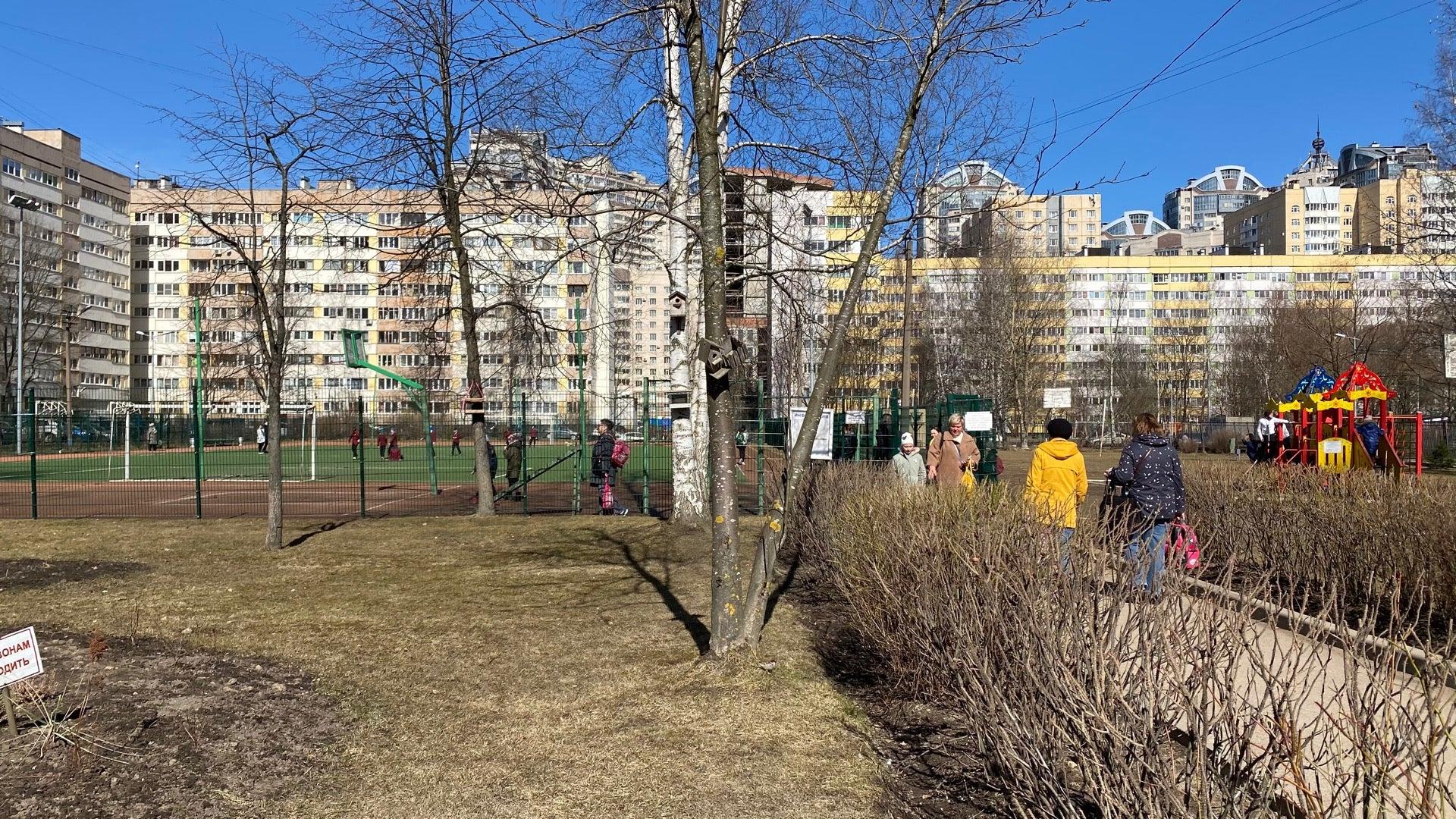 ломоносовская гимназия в санкт петербурге