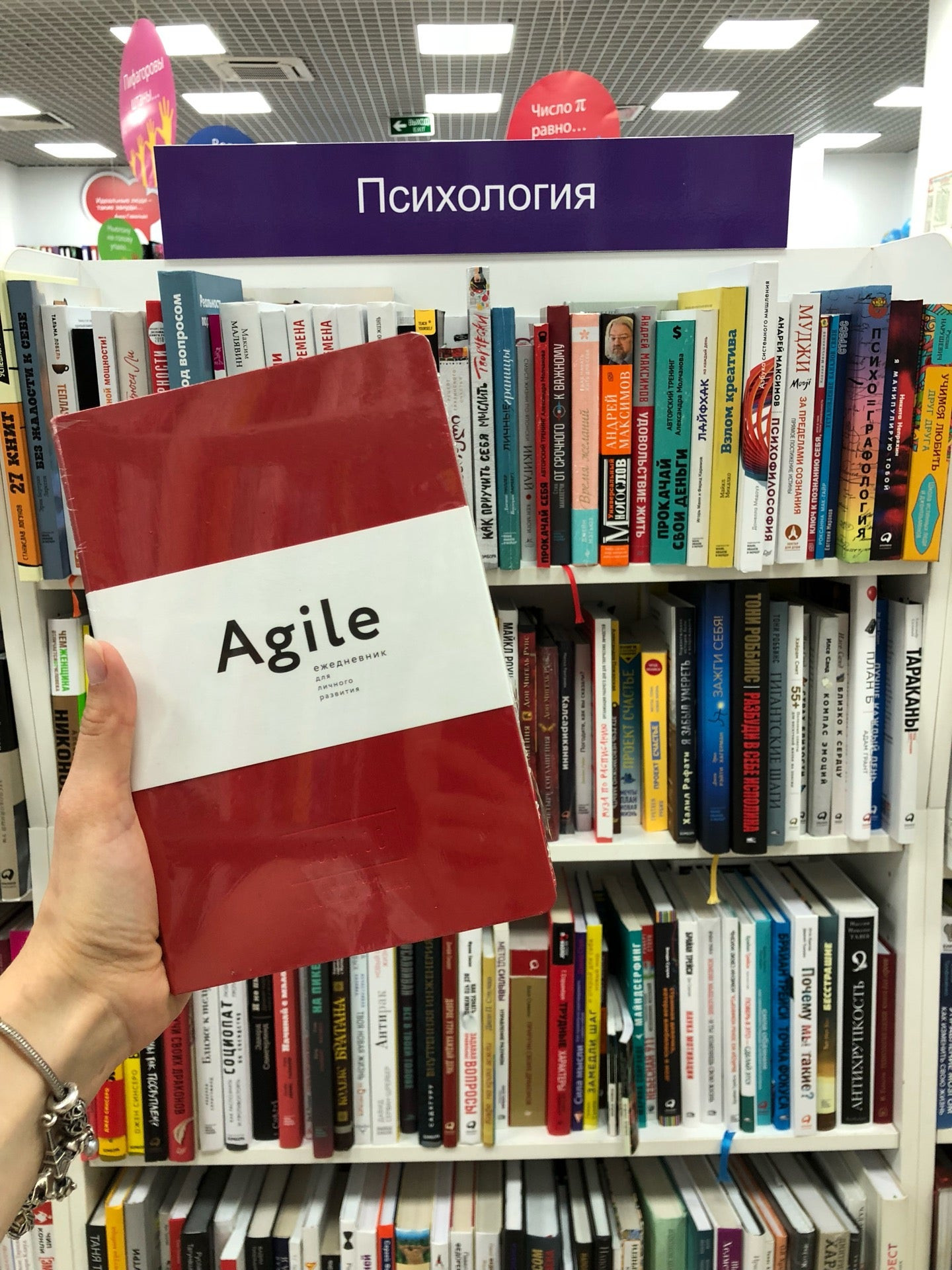 Книжные магазины на Новой улице рядом со мной – Купить книгу: 1 магазин на  карте города, отзывы, фото – Нижний Новгород – Zoon.ru