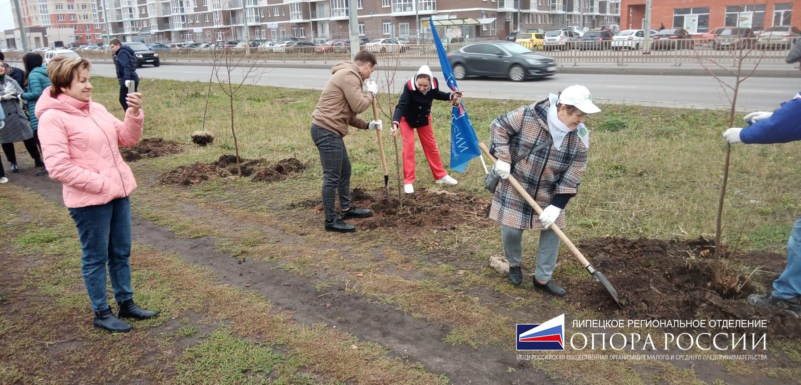 Учреждения в Советском округе рядом со мной на карте – рейтинг, цены, фото,  телефоны, адреса, отзывы – Липецк – Zoon.ru