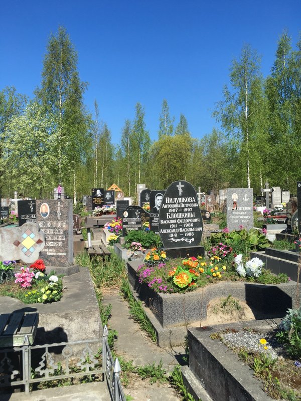 Южное кладбище участки. Южное кладбище Санкт-Петербург. Южное кладбище Питер. Южное кладбище вишневый участок. Макеевка Южное кладбище.