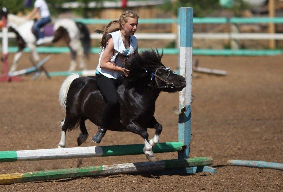 алиса хакасия. золотая подкова абакан сапогово. хакасский праздник чыл пазы. золотая подкова сапогово. побызаков хакасия министр.