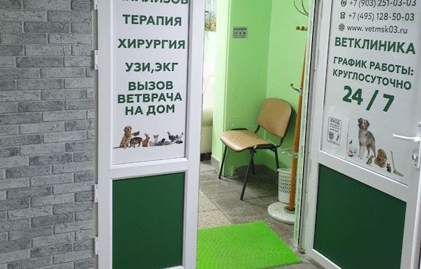 Примавет осташковская 30. Ветклиника на Дубнинской. Вет клиника на Дубнинской. Дубнинская 53 ветеринарная клиника. Клиника Примавет.