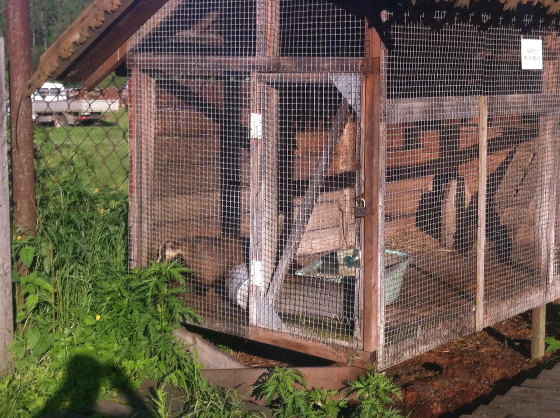 База отдыха Зообаза - отзывы, фото, цены, телефон и адрес - Дома отдыха ...