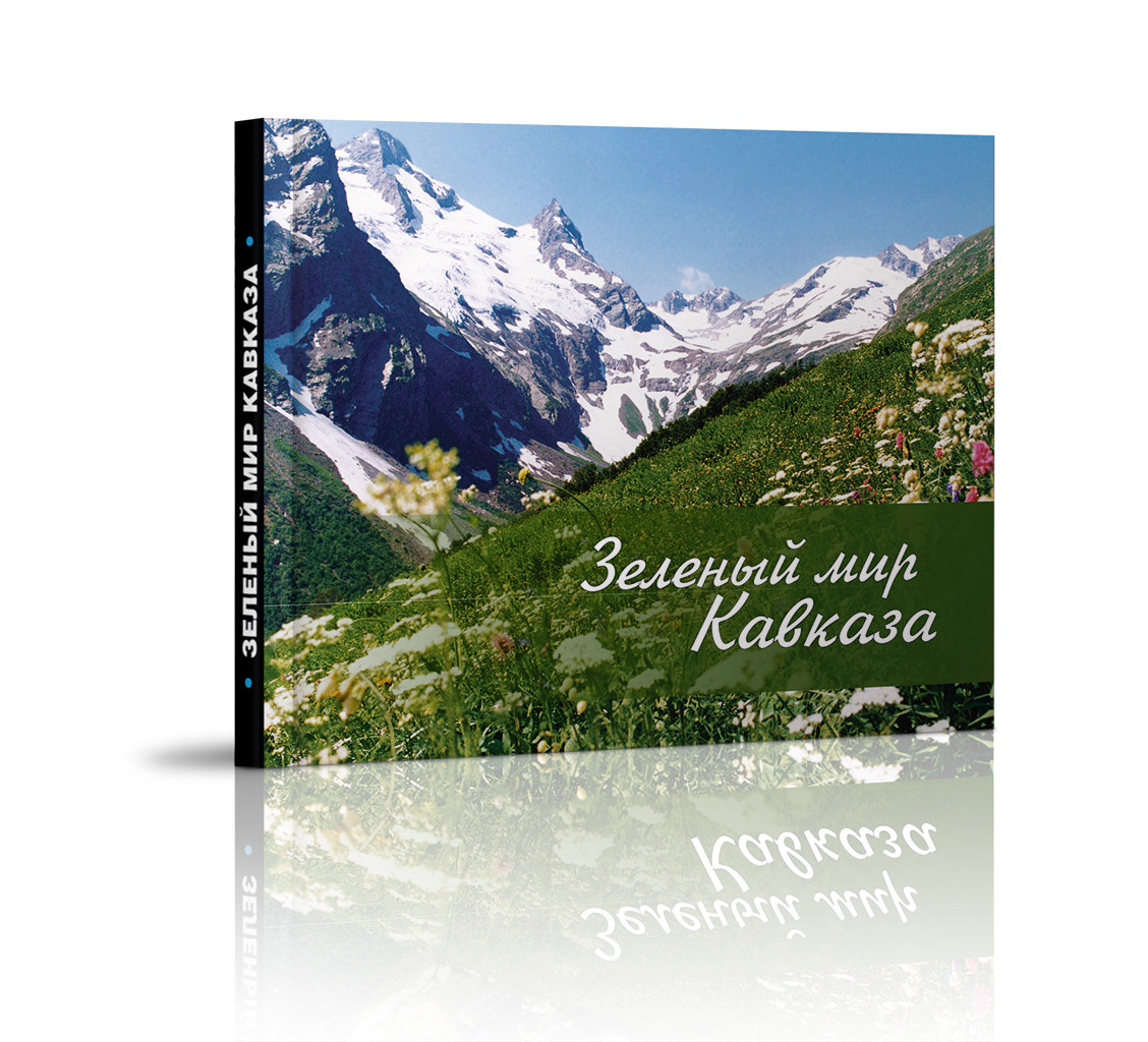 Книжные магазины в Пятигорске рядом со мной – Купить книгу: 17 магазинов на  карте города, отзывы, фото – Zoon.ru