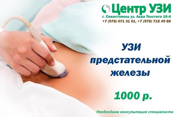 Севастополь, ул. Льва толстого 16 а улица 16а севастополь. Узи олнил севастополь. Севастополь улица льва толстого 16а центр узи. Севастополь ул льва толстого 16-а.