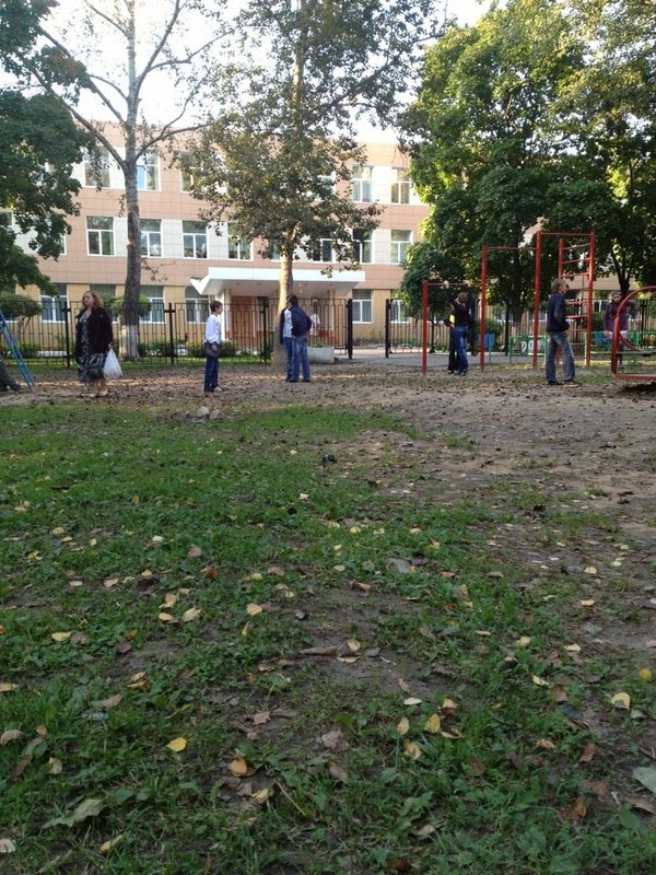 гимназии 13 быкова. 13 школа томск. гимназия 13 одинцово. гимназия 13 адрес. гимназия номер 13 новосибирск.