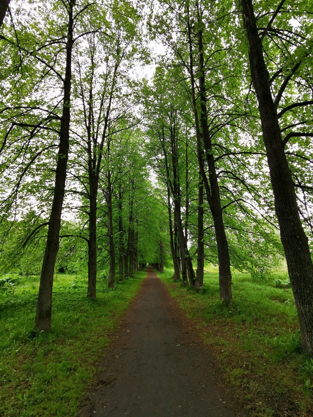 Ботанический сад томск фото