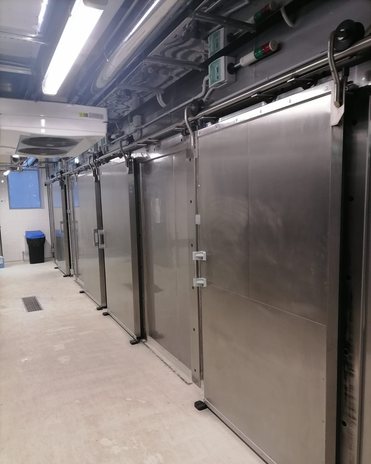 Ирбис Групп, официальный представитель Ирбис на проспекте 60-летия ...