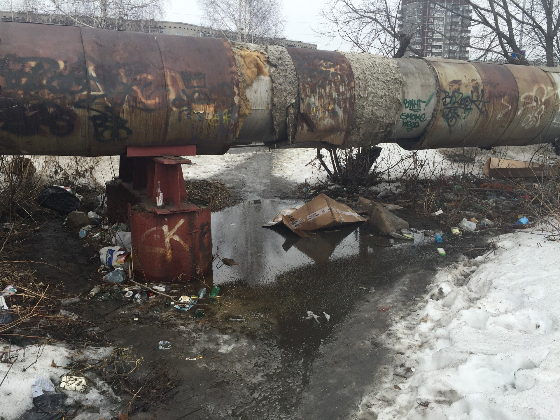 🚗 Автосервисы на улице Новгородцевой рядом со мной на карте - рейтинг,  цены, фото, телефоны, адреса, отзывы - Екатеринбург - Zoon.ru