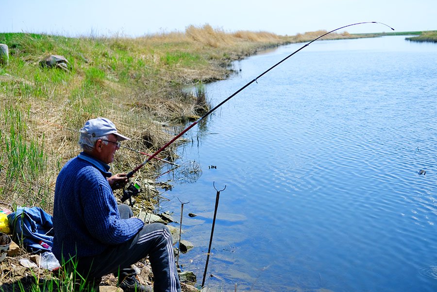 Загородный клуб березина речка