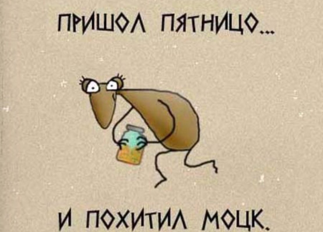 Пришел или пришол. Пришел пятницо и похитил моцк. пятница украл моцк. пятниццо пришел. пришел пятницо и похитил моцк картинка.