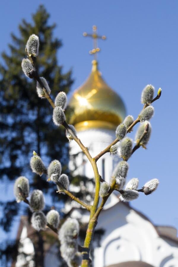 Женщины с вербой у храма