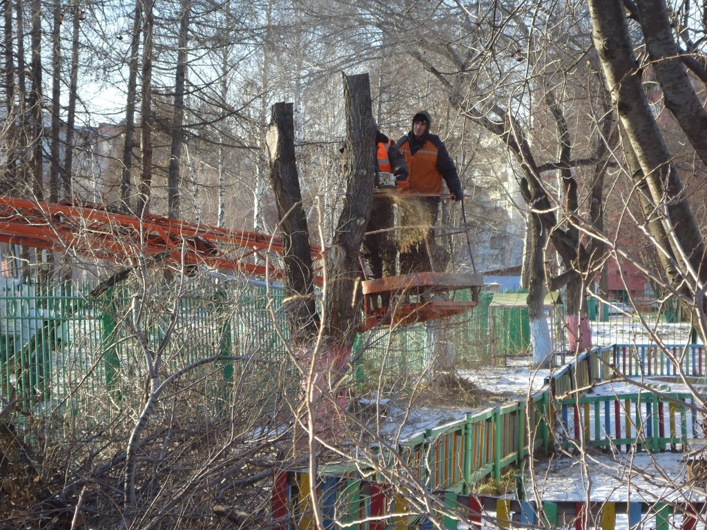 Лучшие детские сады Прокопьевска рядом со мной на карте – рейтинг, цены,  фото, телефоны, адреса, отзывы – Zoon.ru