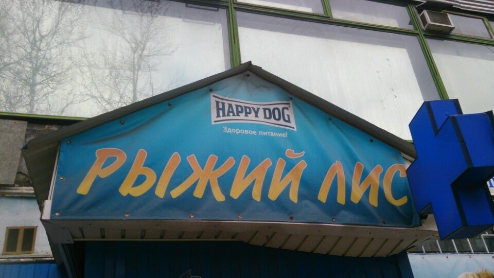 рыжий лис ветклиника томск