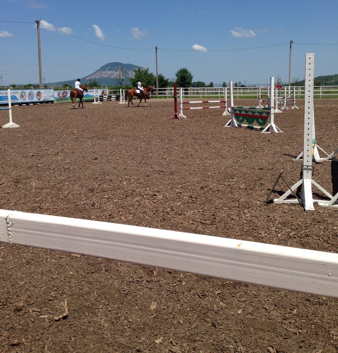 Держава, конно-спортивный клуб по адресу пос. Иноземцево, посёлок ...