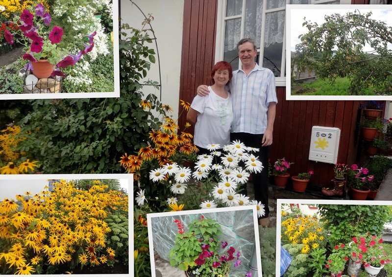 Управление социальной поддержки населения г. Горно-Алтайска - отзывы ...