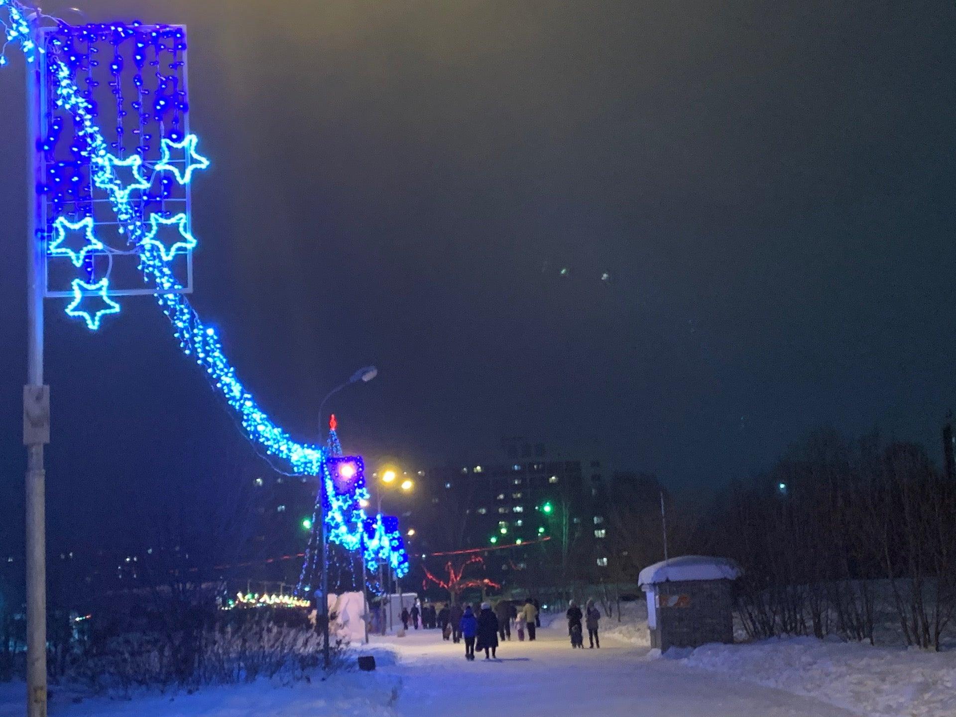 затулинский парк новосибирск