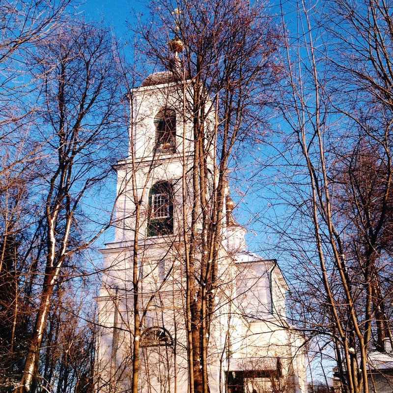 Храм владимирской иконы божией матери в куркине