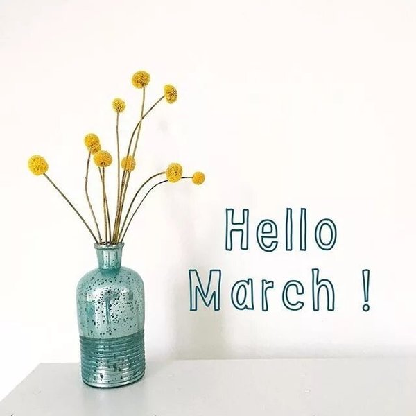Привет март надпись. Привет март/hello march. Hello march. Хелло март картинки. Хеллоу март.