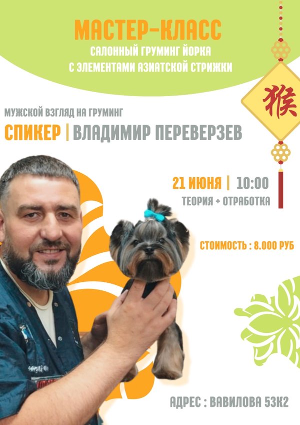 Зоосалон. Грумминг салон. Зоосалон зоопространство. Салон стрижки собак. Зоосалон, зоопарикмахерская пэтси.