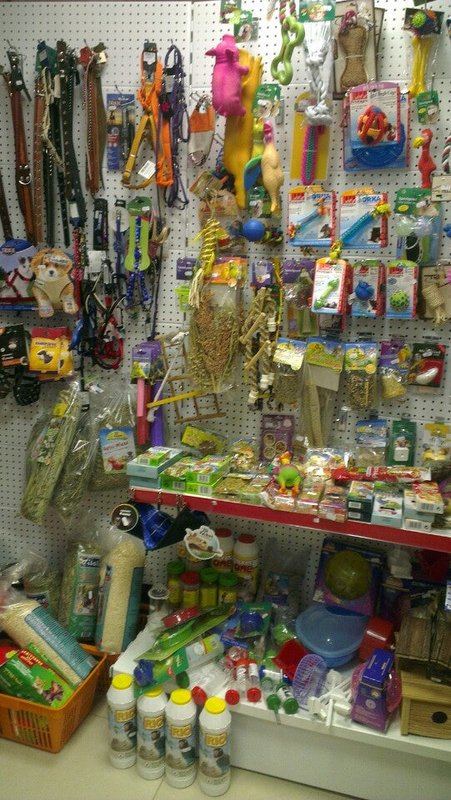 рыжий хвост зоомагазин