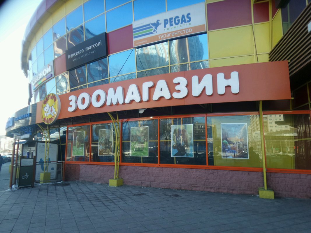 4 лапы королев. магазин 4 лапы на чертановской 63. четыре лапы, королёв, проспект королёва. магазин 4 лапы королев. четыре лапы зоомагазин королев.