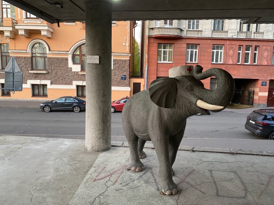 доктор слон логотип. доктор слон санкт петербург. ру интернет. доктор слон санкт-петербург наб. доктор слон санкт петербург.