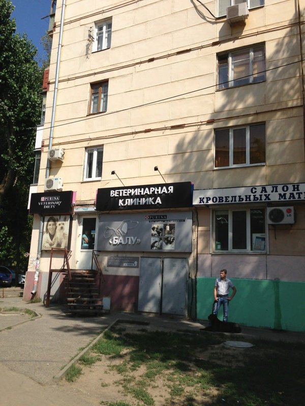 ветклиника на ленина ростов на дону. ветклиника на плиева ростов-на-дону. ветклиника на ленина ростов на дону. айболит ветеринарная клиника кызыл. ветеринарная клиника ростов на дону центр.