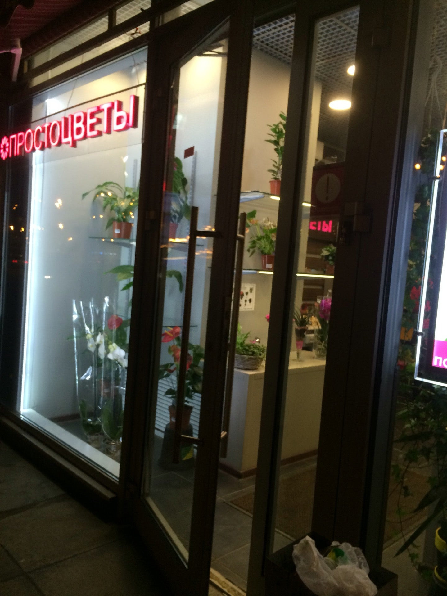 простоцветы в москве